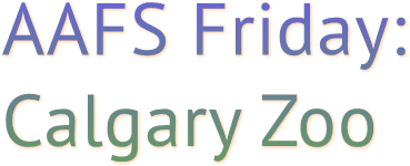 AAFS Friday: Calgary Zoo